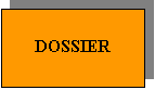 Casella di testo: DOSSIER
